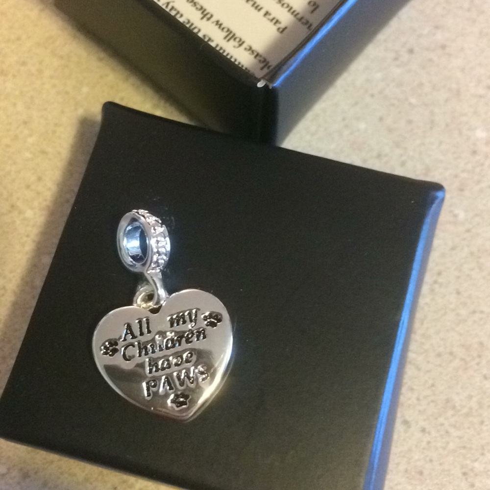 Pet mom charm